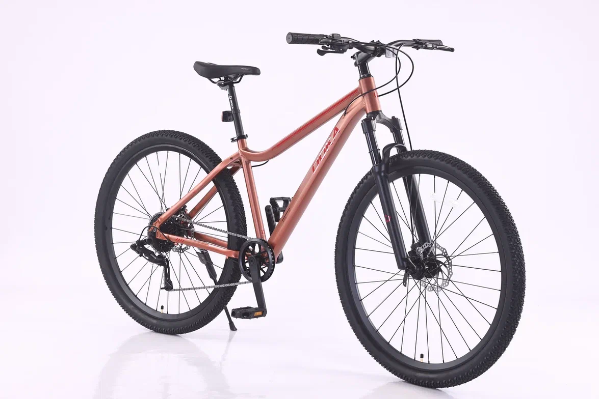 Велосипед Doka Астра 29" (оранжевый) 2026